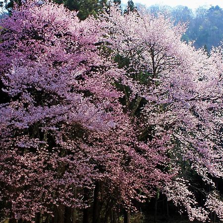 Aizu Astraea Hotel Minamiaizu Exteriér fotografie